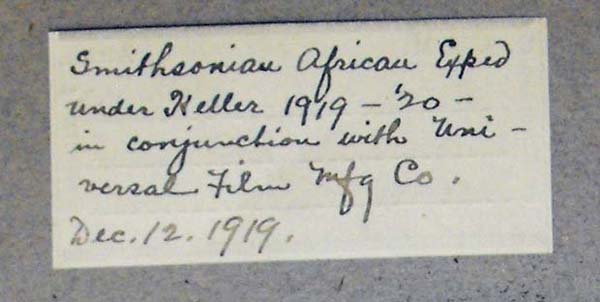 specimen