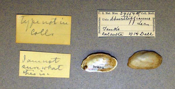 specimen