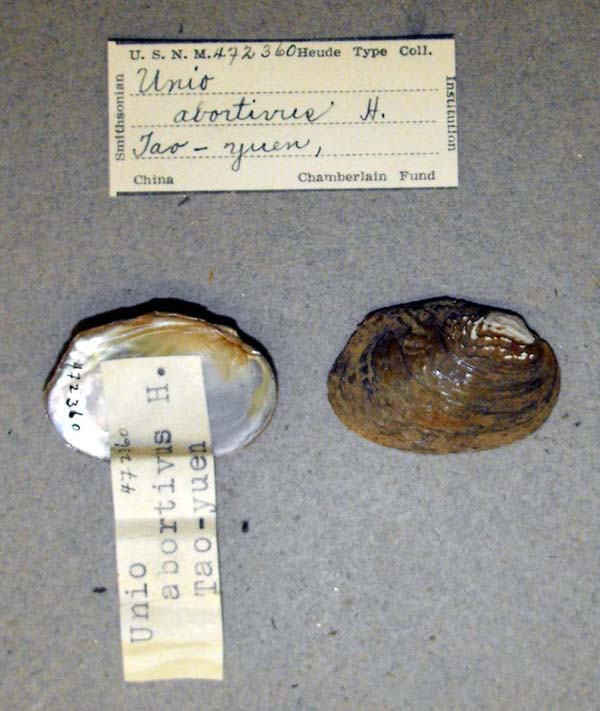 specimen