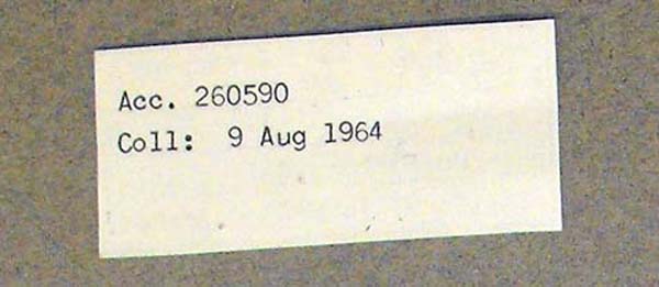 specimen