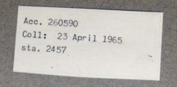 specimen