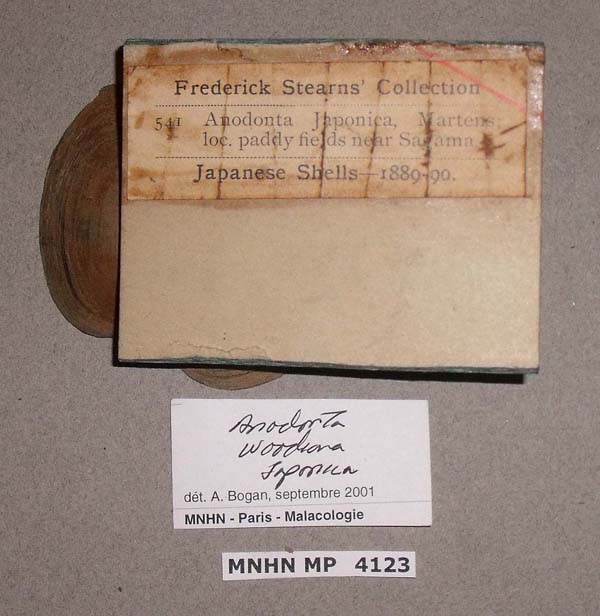 specimen