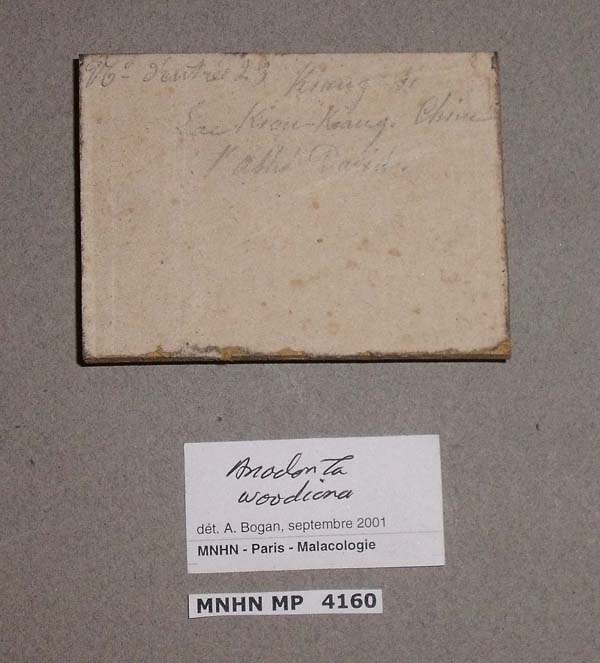 specimen