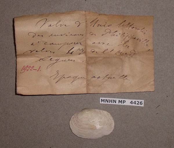 specimen
