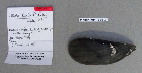 specimen