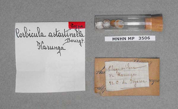 specimen