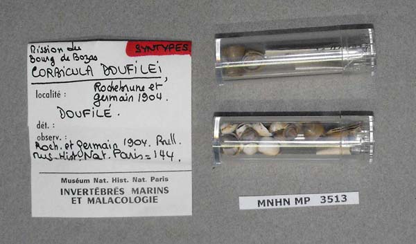 specimen