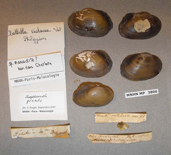 specimen
