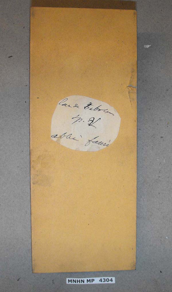 specimen