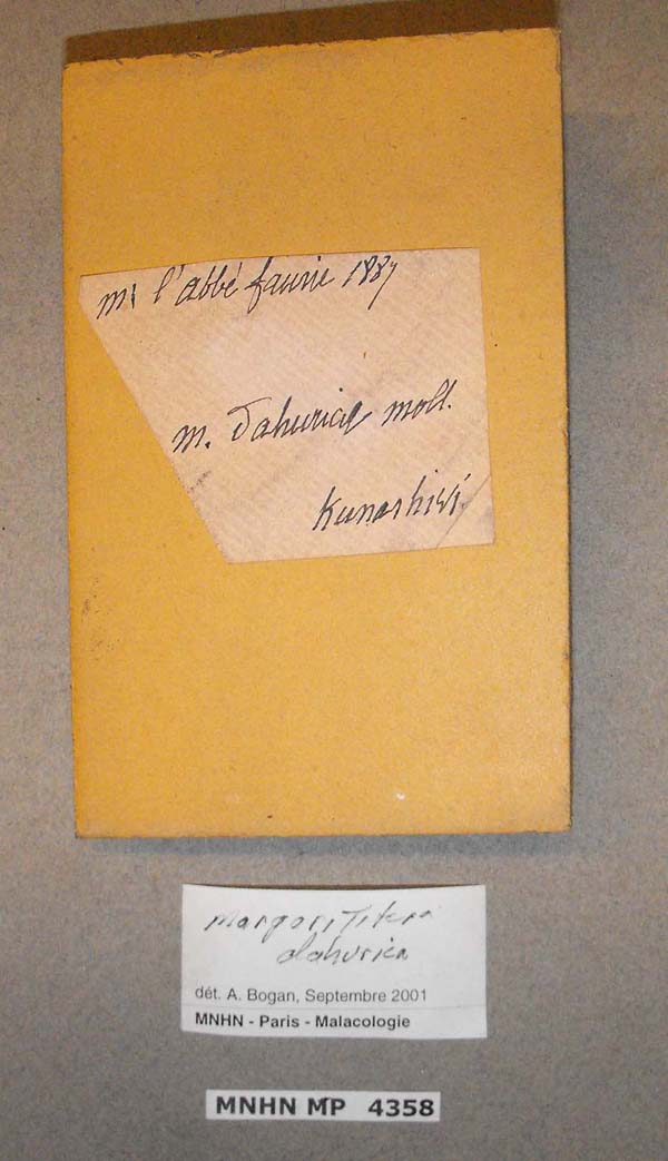 specimen