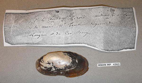 specimen