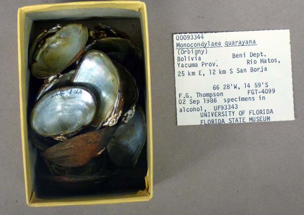 specimen