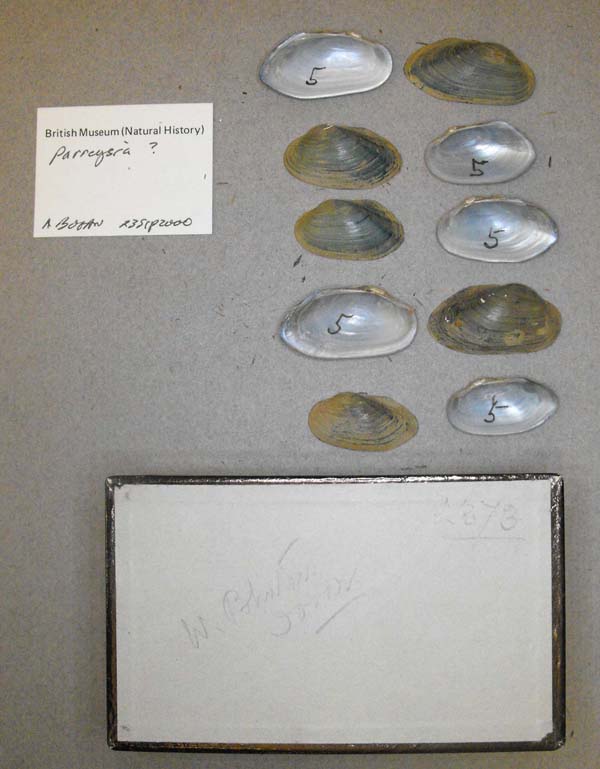 specimen