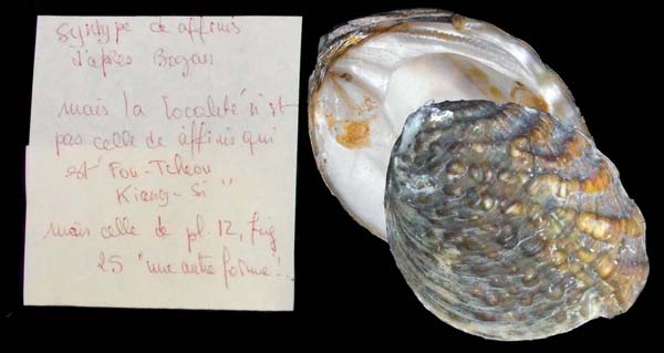 specimen