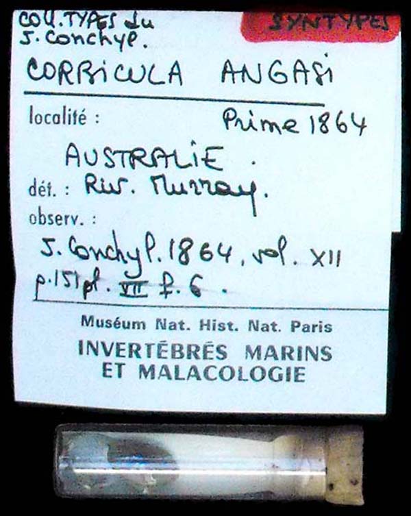 specimen