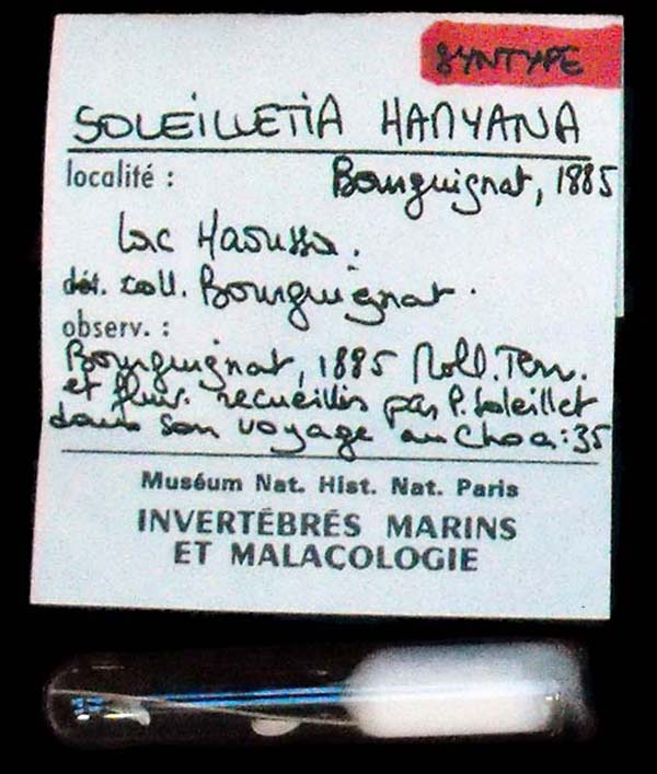 specimen
