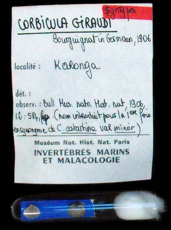 specimen