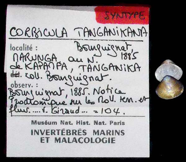 specimen