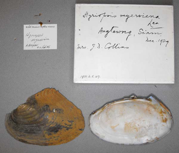 specimen
