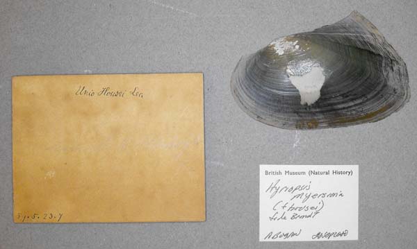 specimen