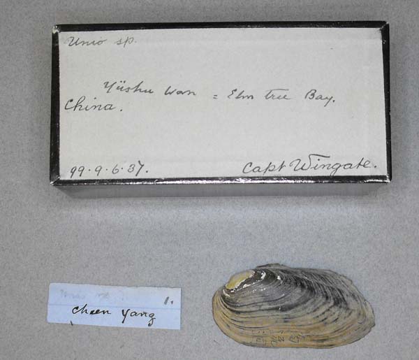 specimen