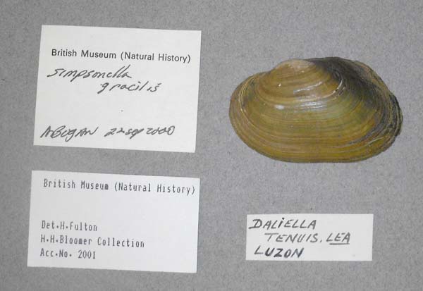 specimen