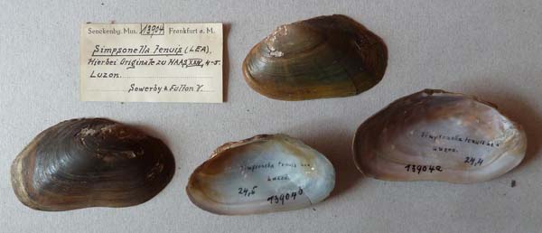 specimen