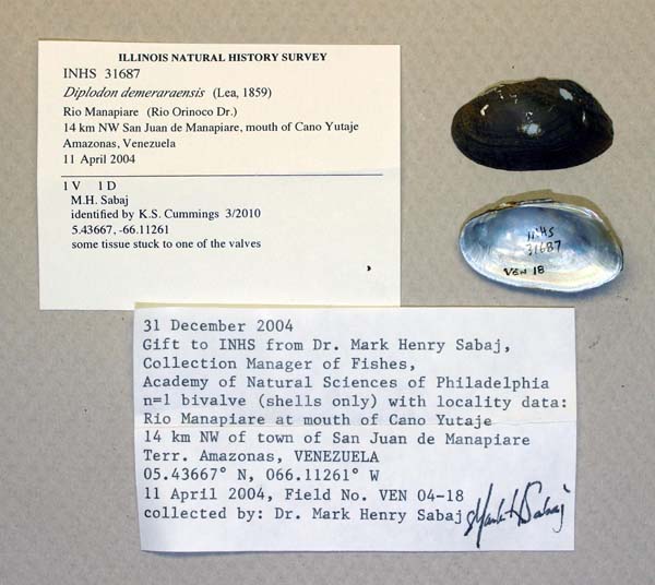 specimen
