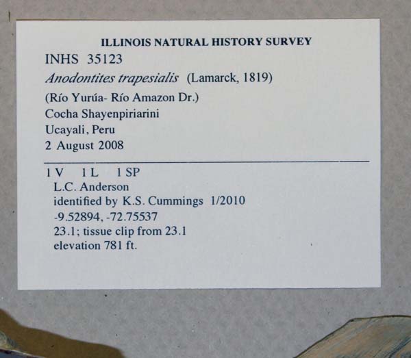 specimen