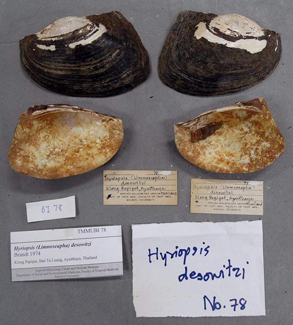 specimen
