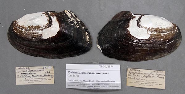 specimen