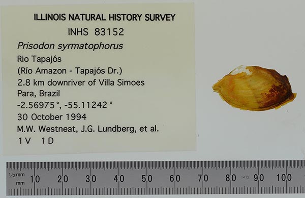 specimen