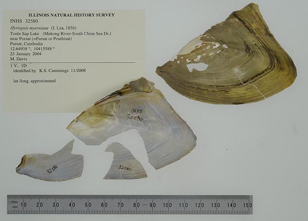 specimen
