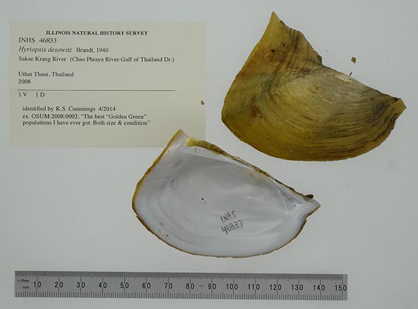 specimen