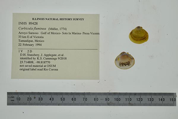 specimen