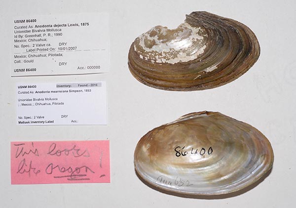 specimen