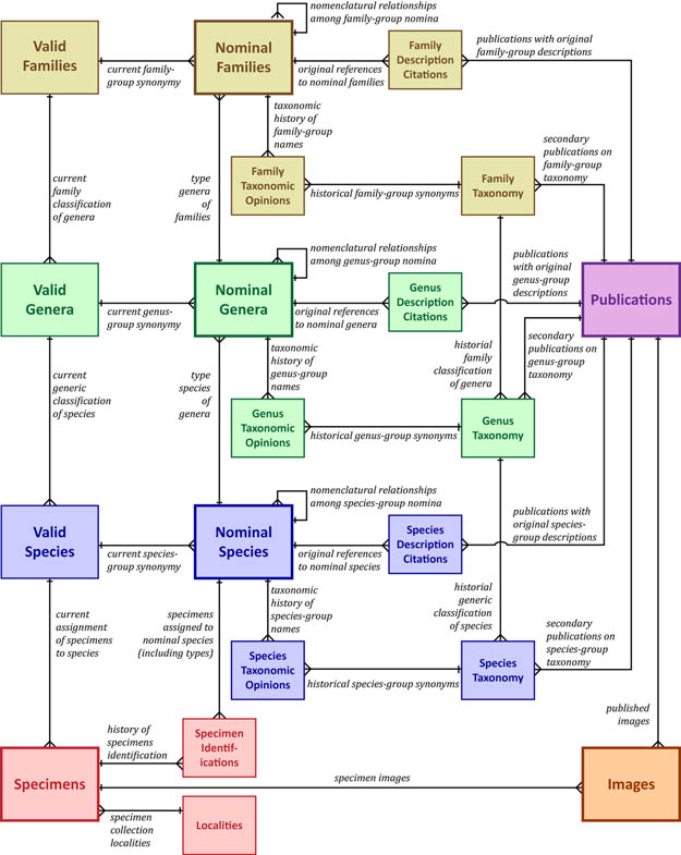 MUSSEL Project Database data model