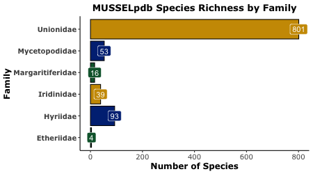 Graph of freshwater mussel species richness by family, according to the MUSSELpdb