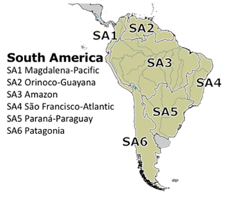 South American subregions