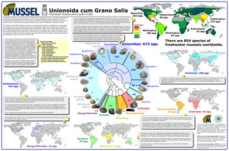 Unionoida cum Grano Salis Poster