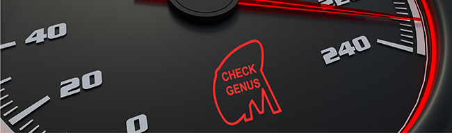 Check genus dash light
