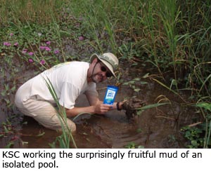 Kevin Cummings working the surprisingly fruitful mud of an isolated pool.