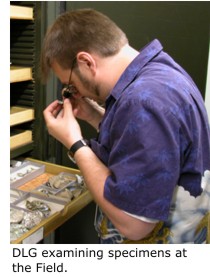 Daniel Graf examining specimens at the Field.