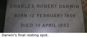 Darwin's final resting spot.