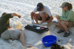Daniel Graf, Kevin Cummings and Jaclyn Kahn preserve specimens for anatomical research