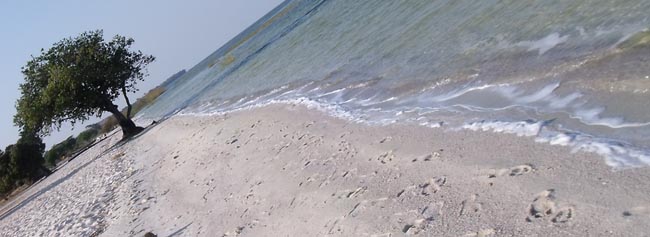The wave-smoothed beach of Lake Bangweulu.