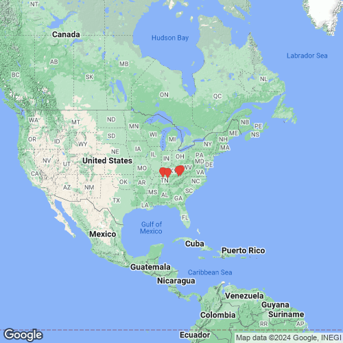 specimens map of Ortmanniana pectorosa