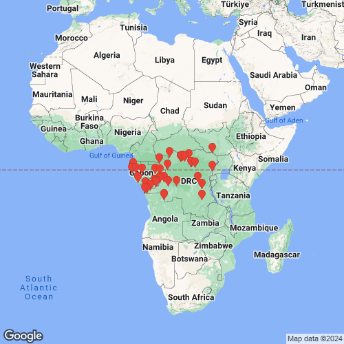 specimens map of Coelatura gabonensis
