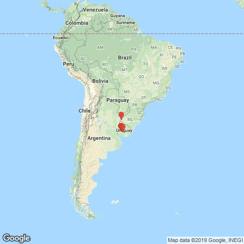 specimens map of Diplodon peraeformis