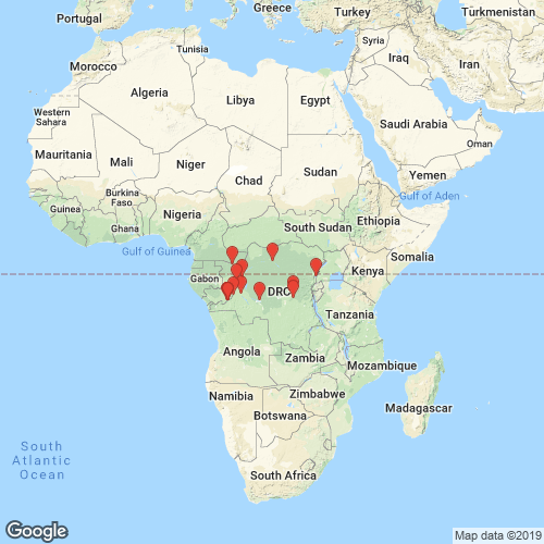 specimens map of Mutela legumen
